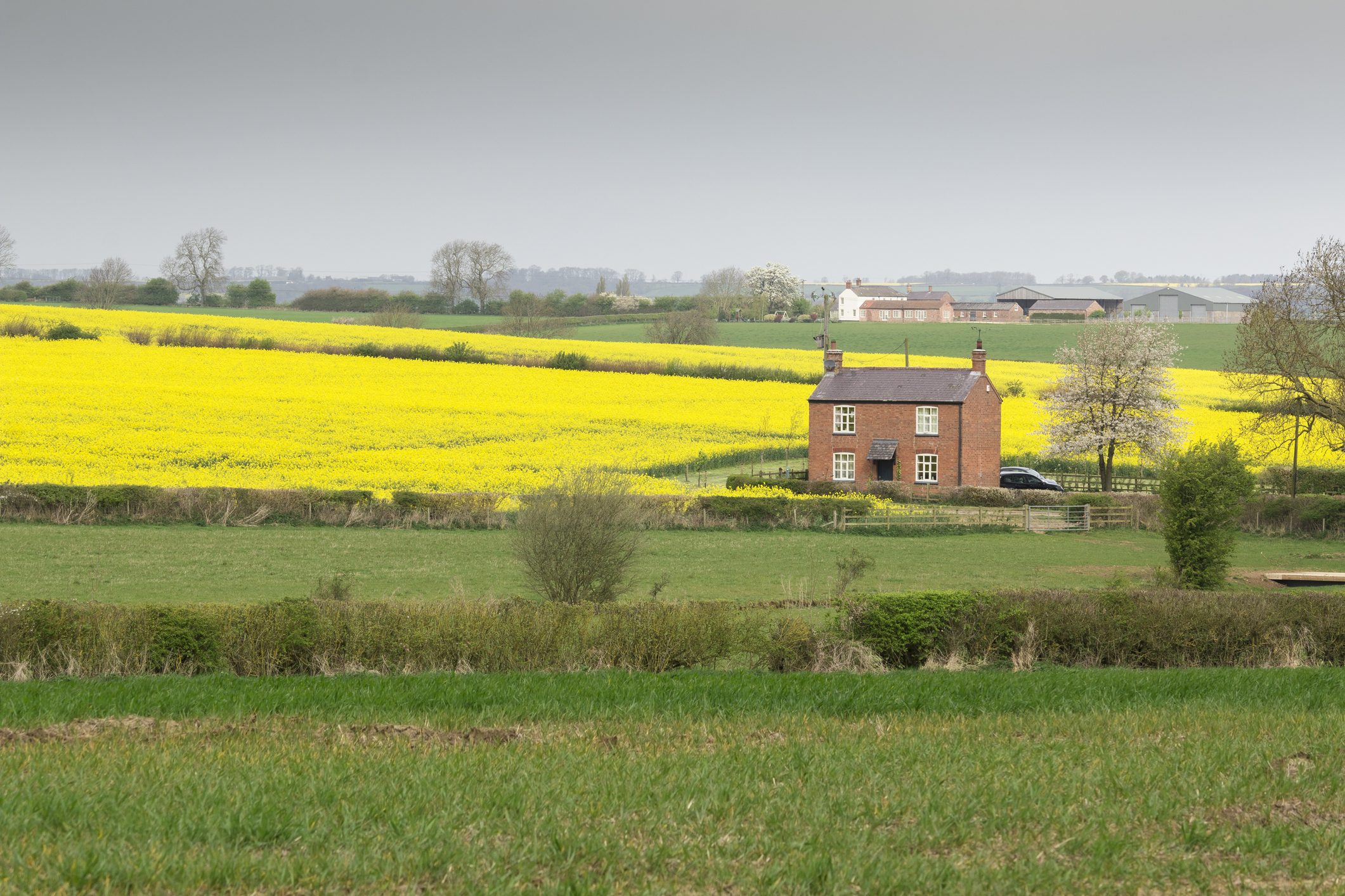 Holiday cottage in idyllic countryside setting