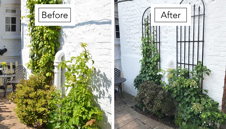 Rose Cottage in Arundel Garden Wall Makeover